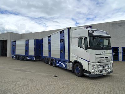 truck volvo fh_500_euro_6 pigs_body